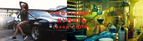прущие грибы Михайлов