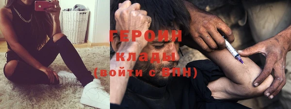 прущие грибы Михайлов