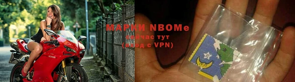 прущие грибы Михайлов