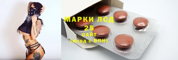 прущие грибы Михайлов