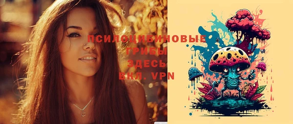 PSILOCYBIN Надым
