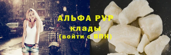 прущие грибы Михайлов