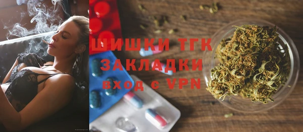 прущие грибы Михайлов