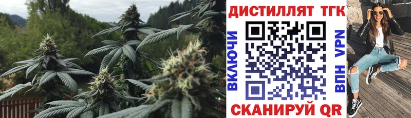 omg онион  Правдинск  ТГК концентрат 
